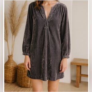 Anthropologie Melody Velvet Oversize Tunic Dress in Dusty Blue